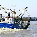 Goesting Nieuwpoort